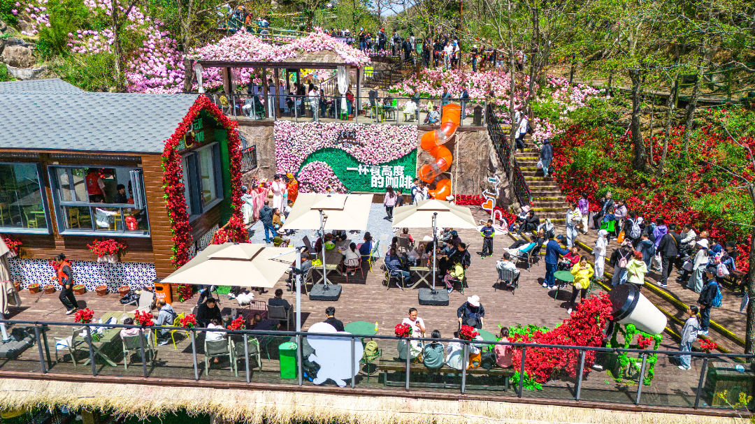 20260503-DJI_20260503132026_0050_D.jpg