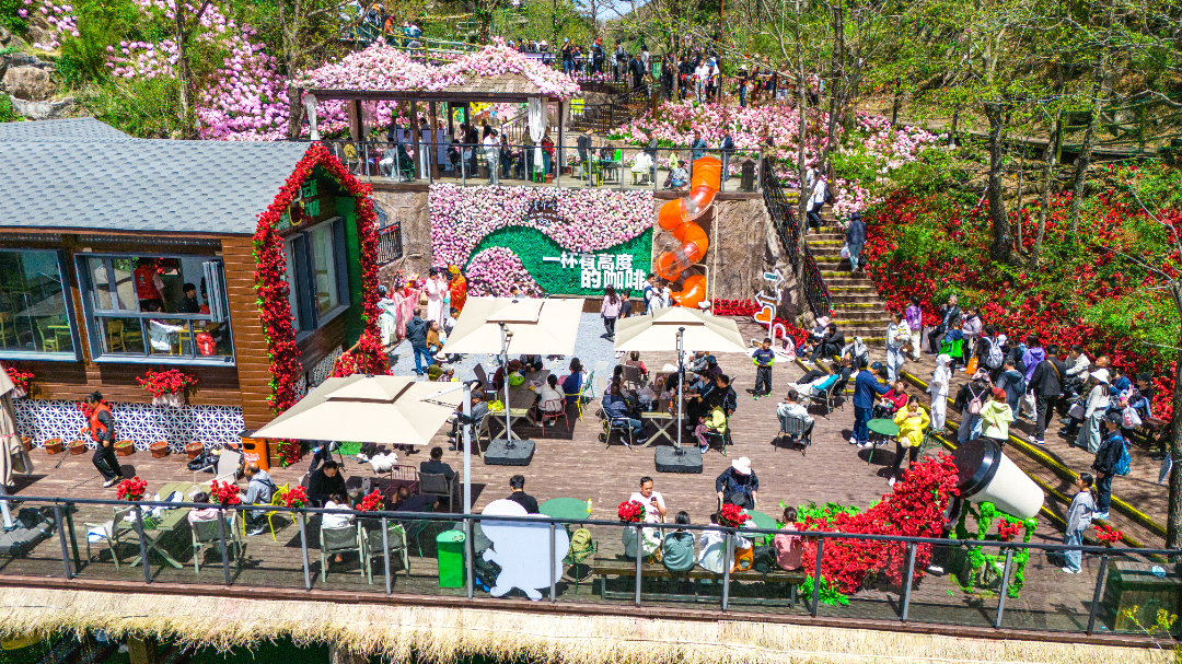 20260503-DJI_20260503132026_0050_D.jpg