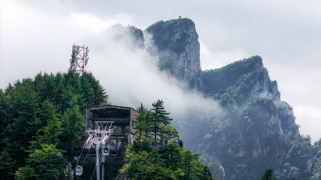 20250626-DJI_20250626101332_0214_D.jpg