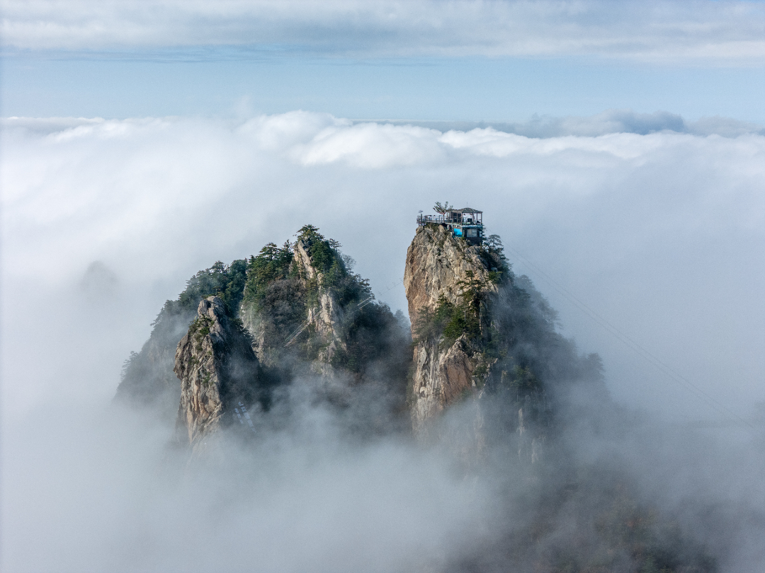20251016-DJI_20251016102558_0031_D.jpg