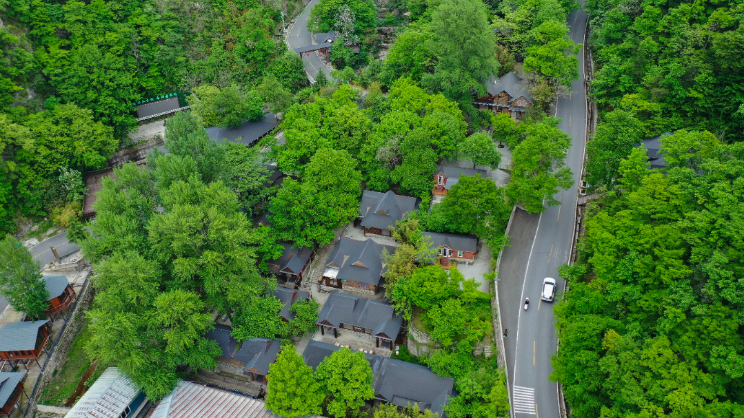 undefined DJI_0781.jpg