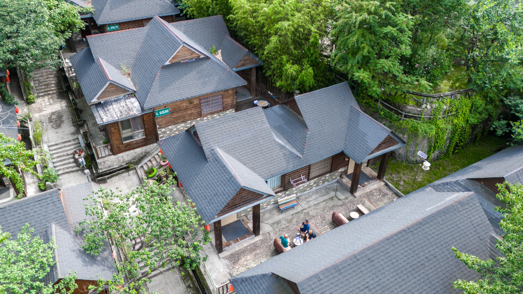 20250804-DJI_20250804092656_0016_D.jpg