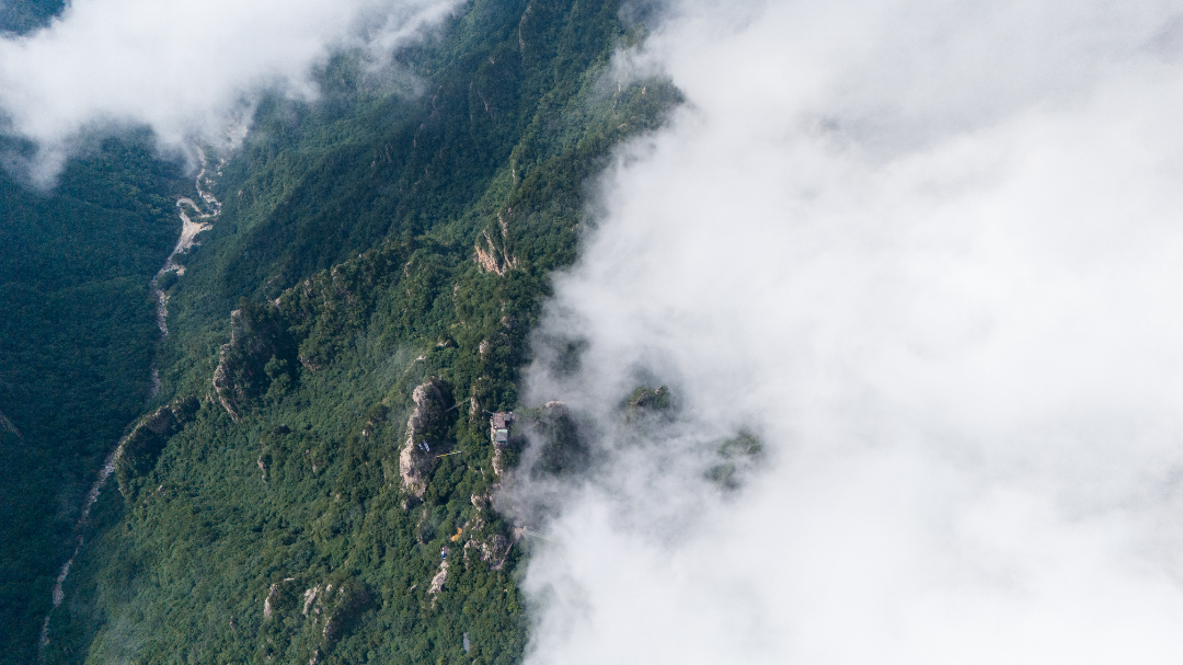 20260716-DJI_20260716102310_0018_D.jpg