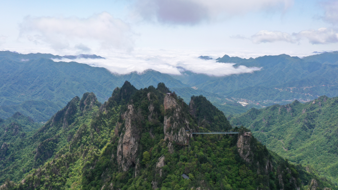DJI_0915.JPG