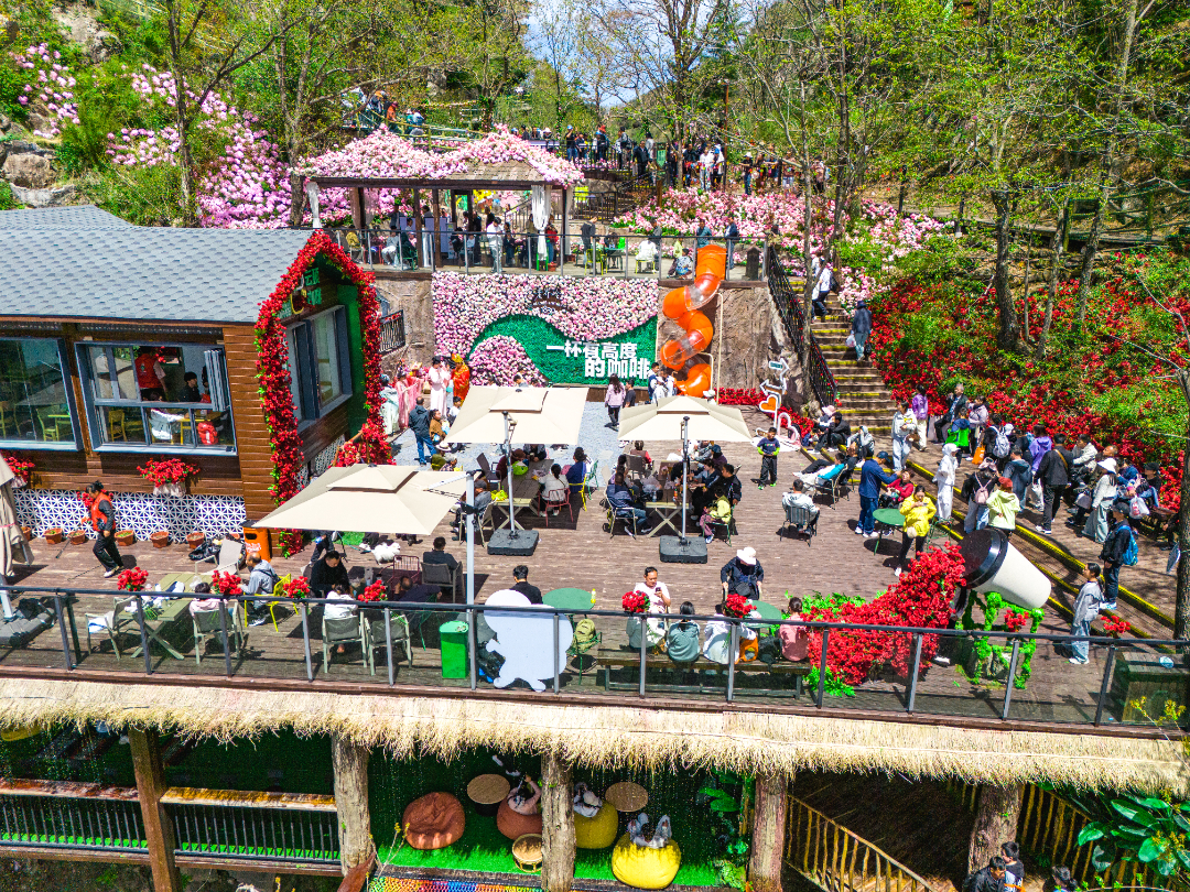 20260503-DJI_20260503132026_0050_D.jpg