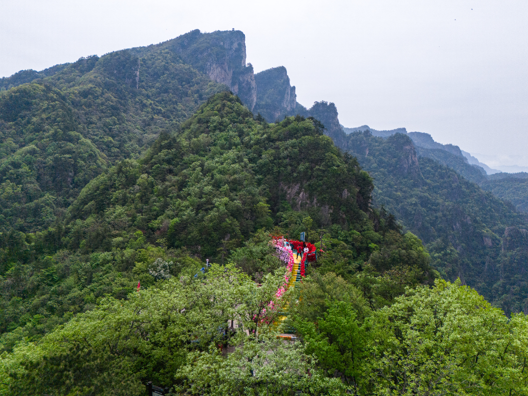 20260512-DJI_20260512100449_0019_D.jpg