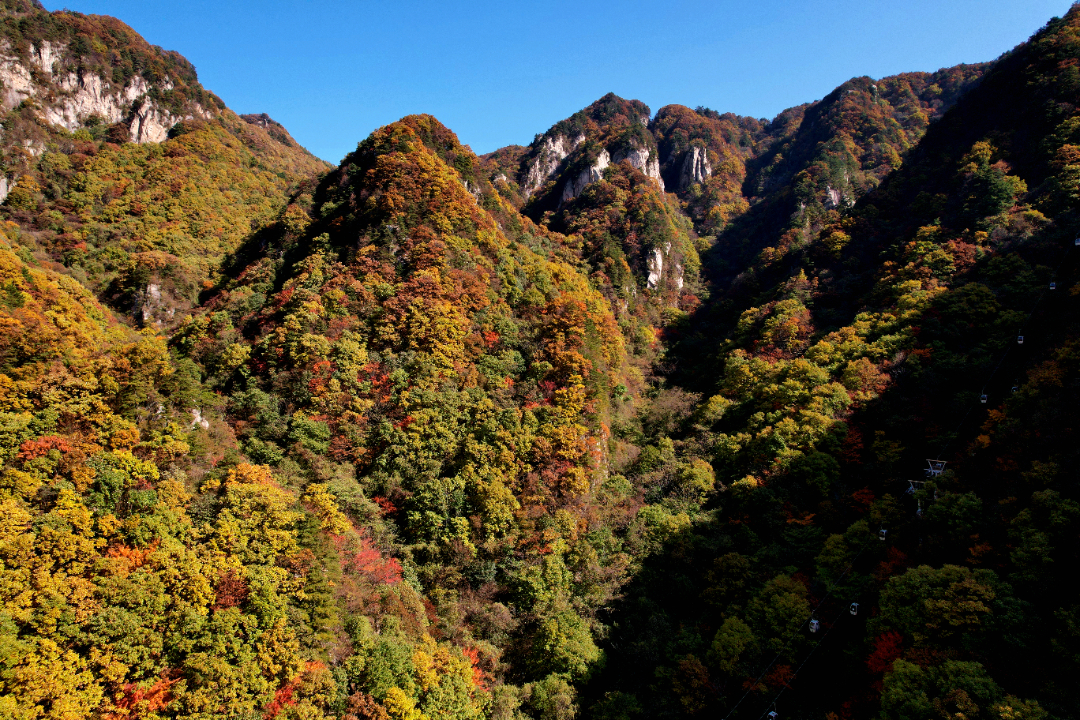 DJI_0048_副本.jpg