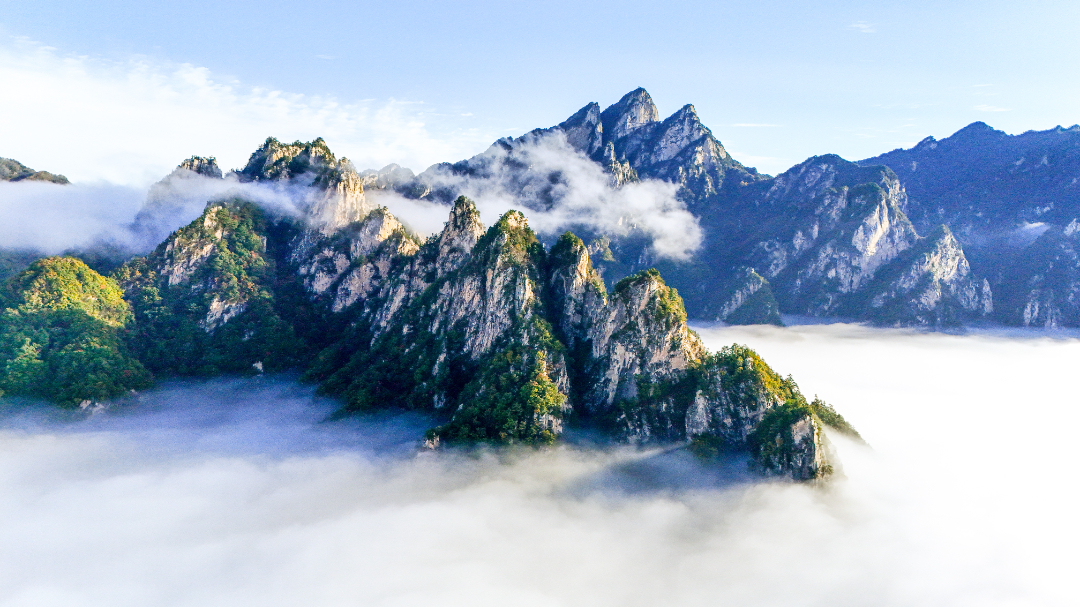 DJI_20241021081718_0180_D-2211.jpg
