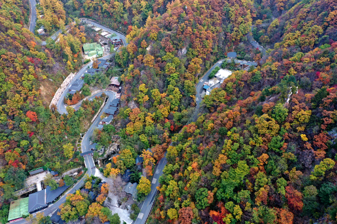DJI_0879_副本.jpg