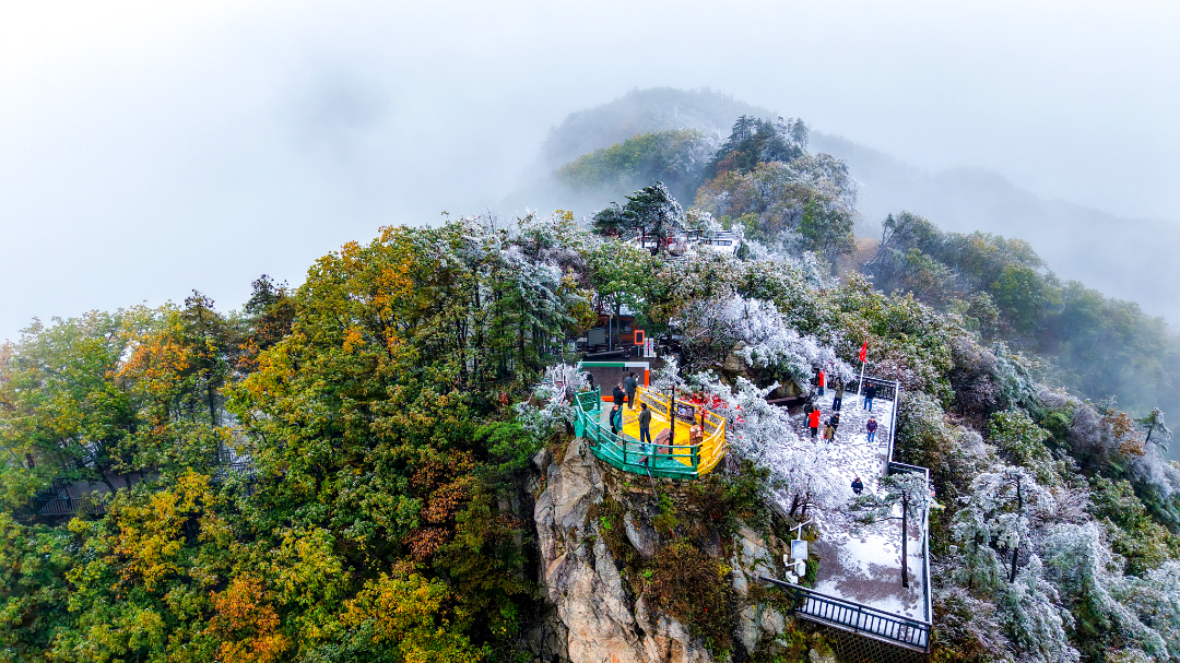 20251021-DJI_20251021091327_0062_D 拷贝.jpg