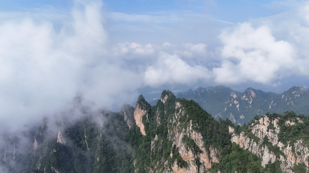 DJI_20260818085724_0022_D.JPG