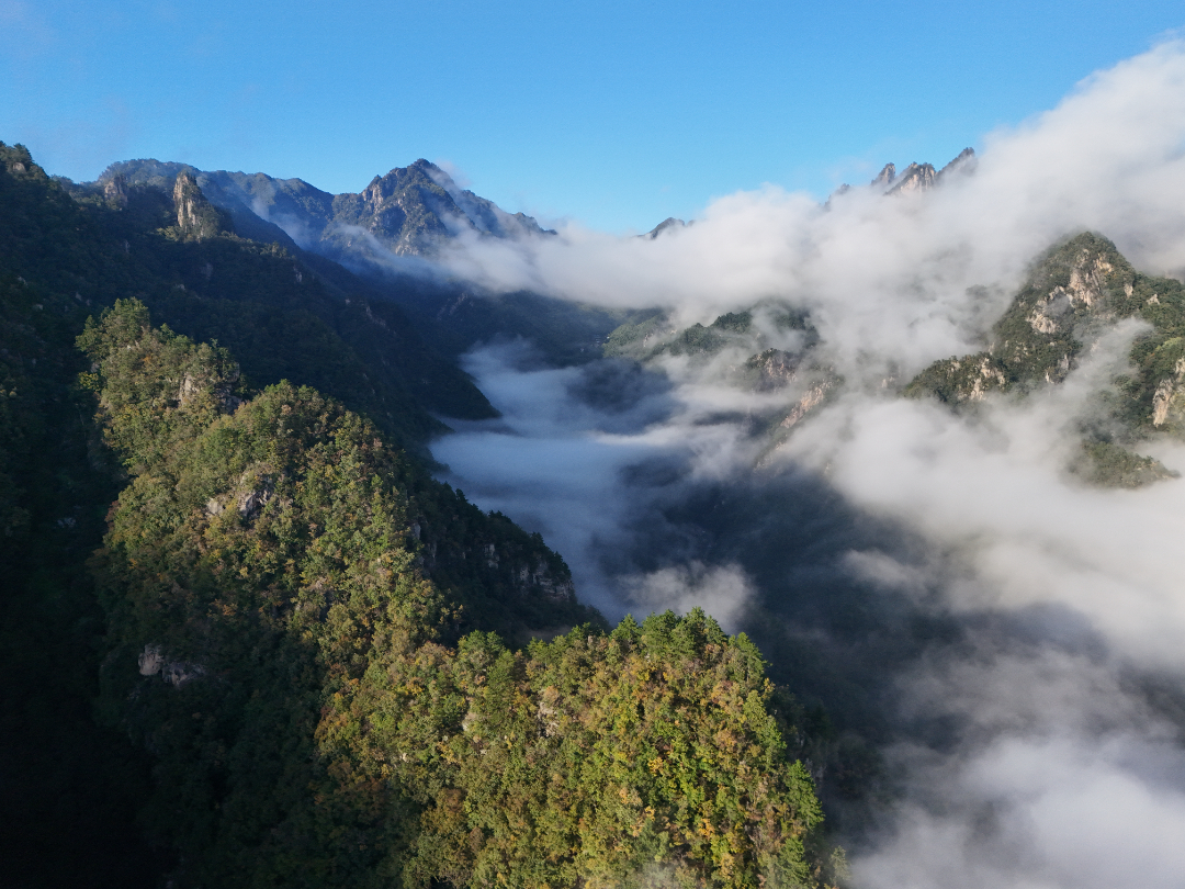 DJI_20251007171337_0569_D.JPG