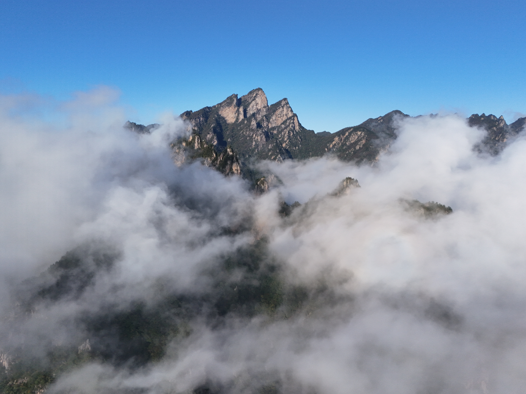 DJI_20251007170639_0561_D.JPG