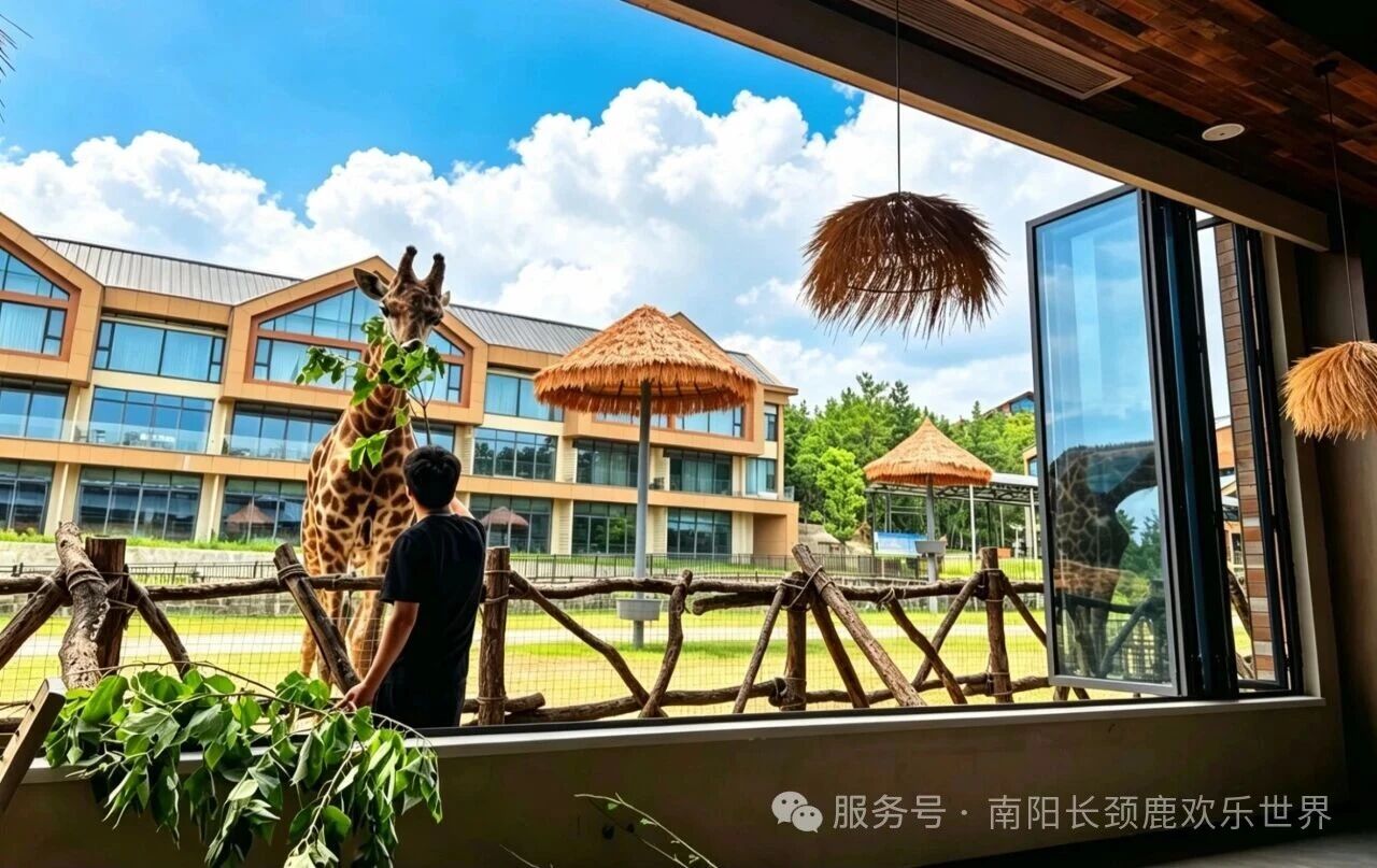 微信图片_2026-09-15_084030_257.jpg