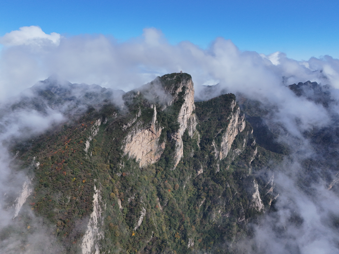 DJI_20251007145037_0512_D.JPG