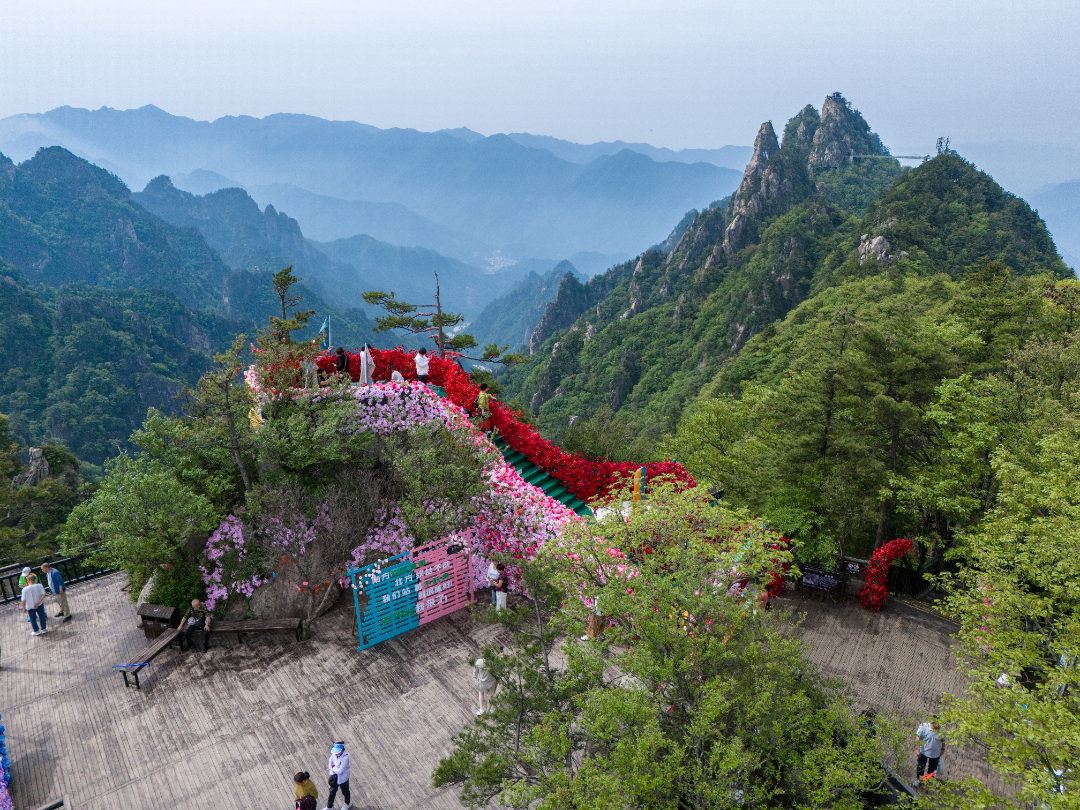 20260512-DJI_20260512101327_0038_D.jpg