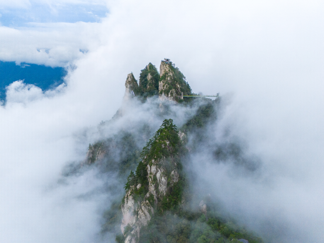 20250824-DJI_20250824092703_0078_D.jpg