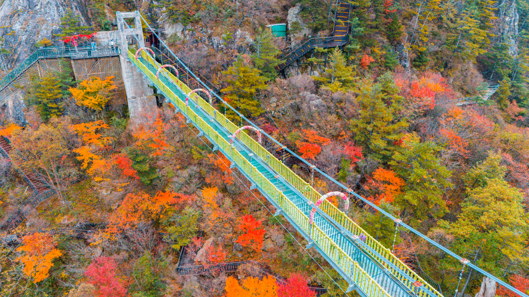 a77a6b77d5523909cdfb1005e4898c1.jpg 20261011-DJI_20261011143342_0090_D.jpg