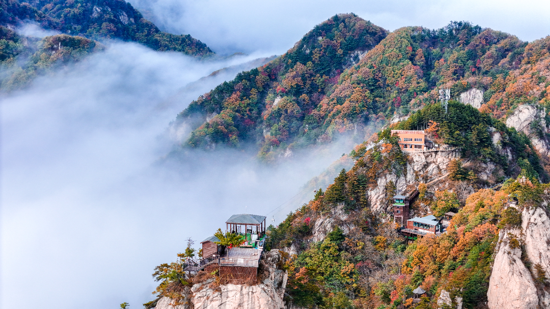 10(1).jpg DJI_20241021150418_0395_D-2217.jpg